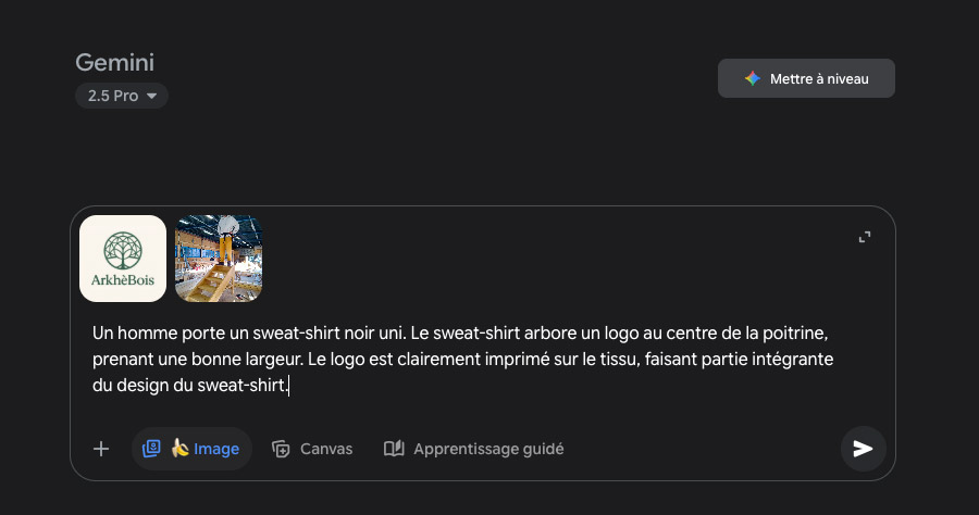 image illustrant l'interface de Google Gemini